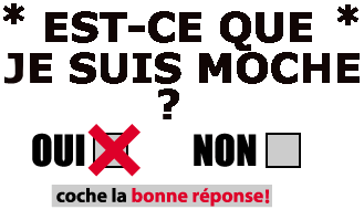 oui ou nn